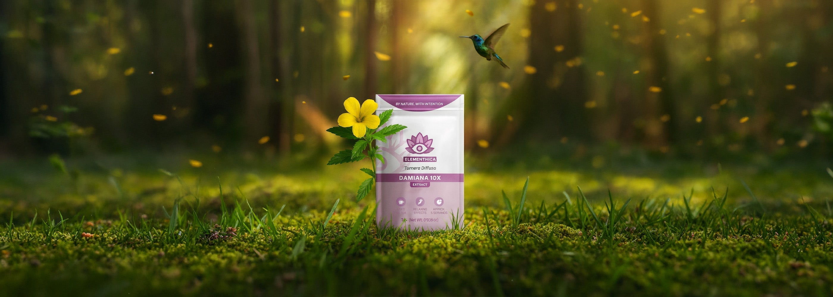 Damiana 10x Extract – Premium Botanical Extract